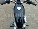     Harley Davidson XL883-I Sportster883 2008  19